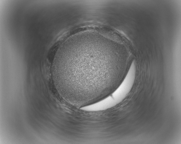 X0000066101399200603171345