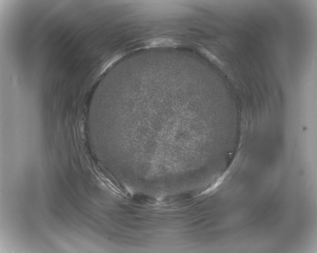 X0000066101401200603171345