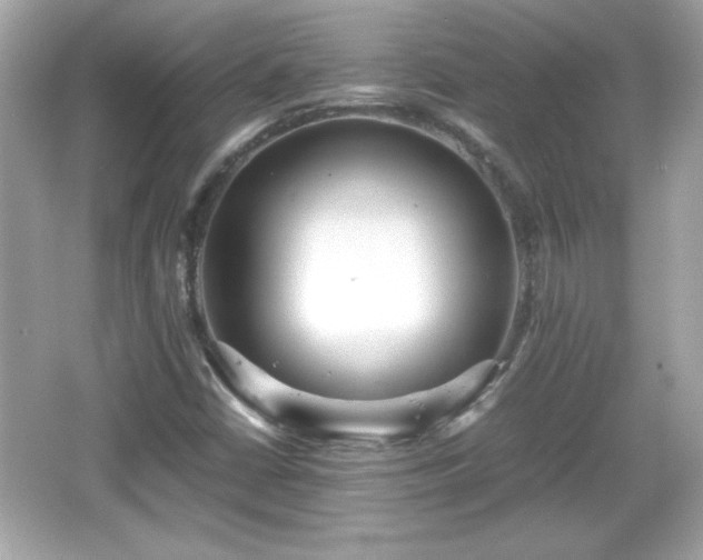 X0000066101402200603171345