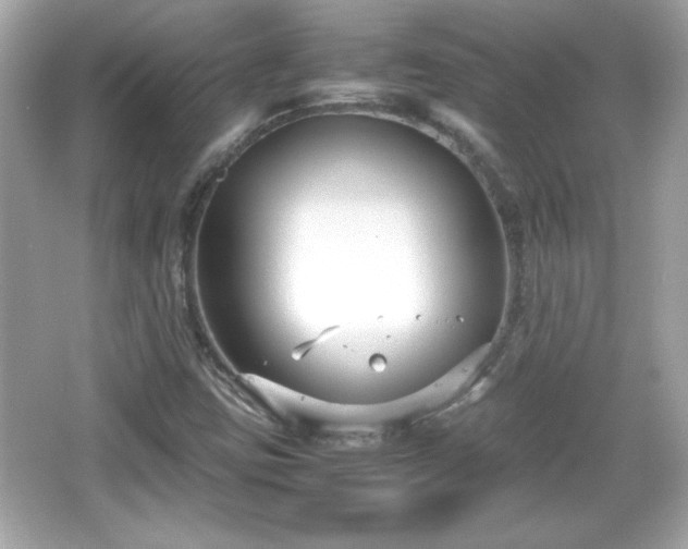 X0000066101403200603171345