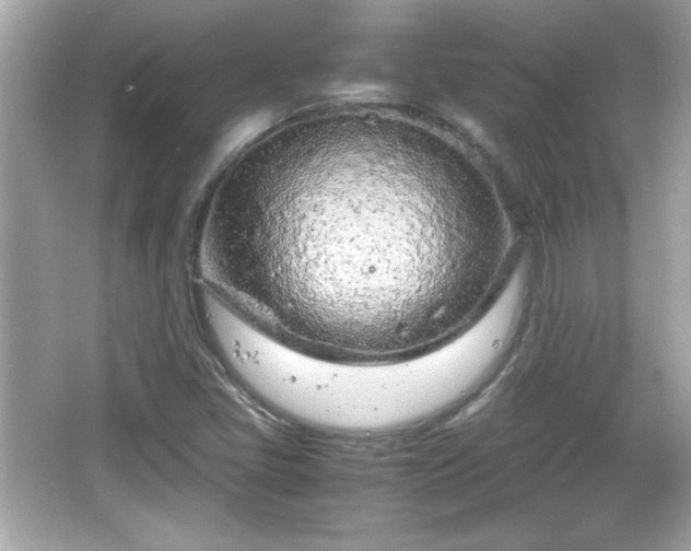 X0000066101405200603171345