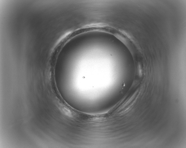 X0000066101406200603171345