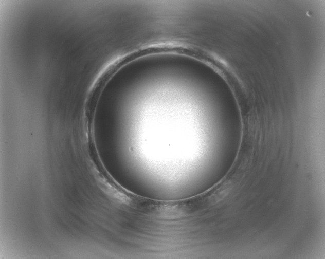 X0000066101408200603171345