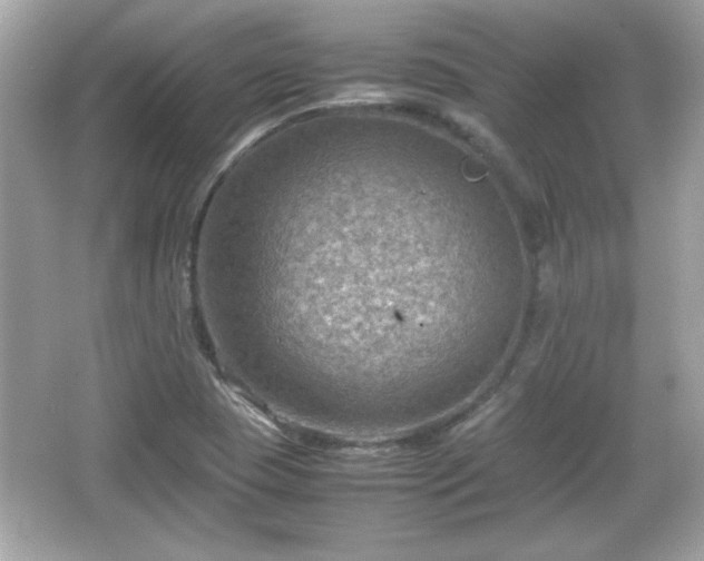 X0000066101409200603171345