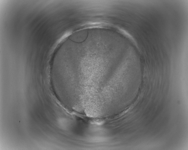 X0000066101411200603171345