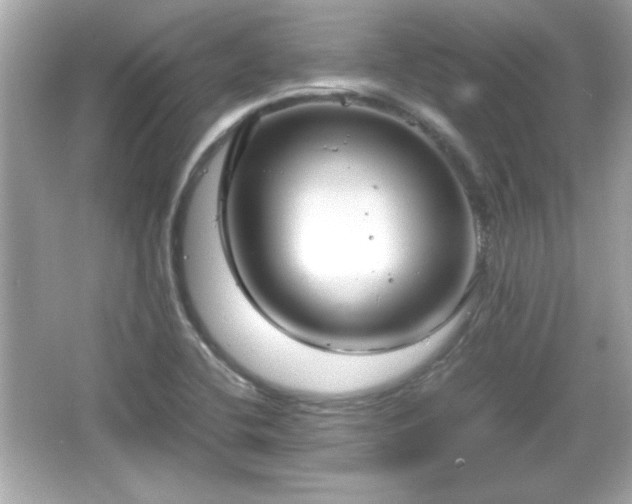 X0000066101412200603171345