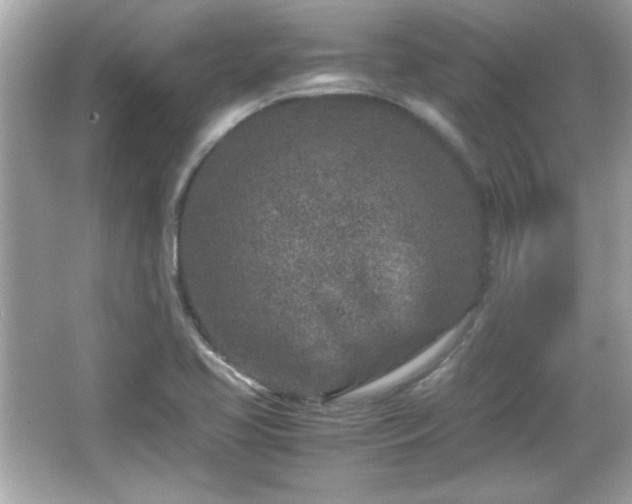 X0000066101413200603171345