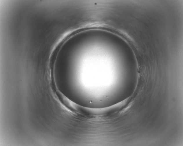 X0000066101414200603171345