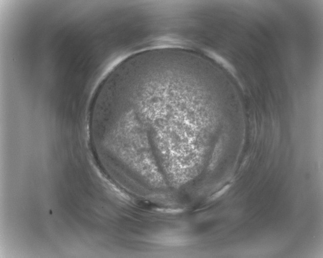 X0000066101415200603171345