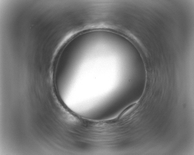 X0000066101416200603171345