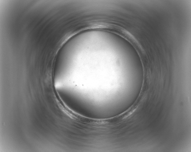 X0000066101417200603171345