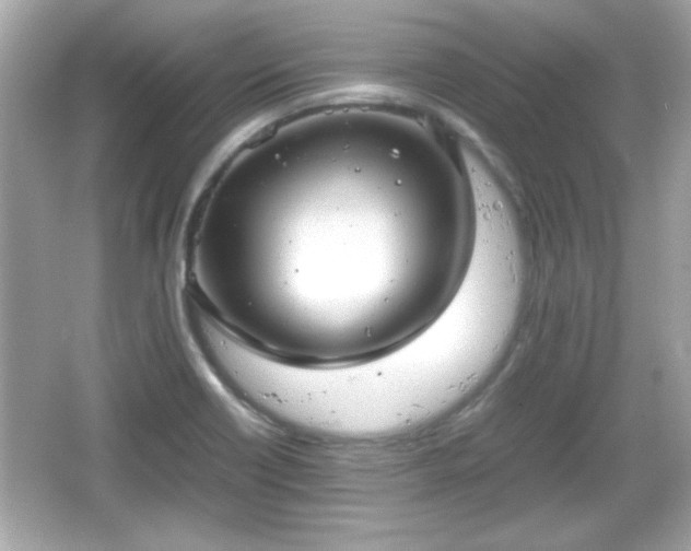 X0000066101418200603171345