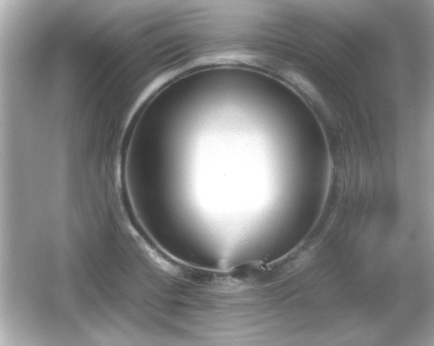 X0000066101420200603171345