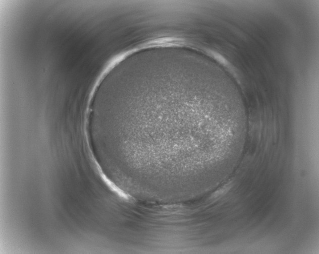 X0000066101421200603171345