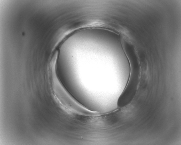 X0000066101422200603171345