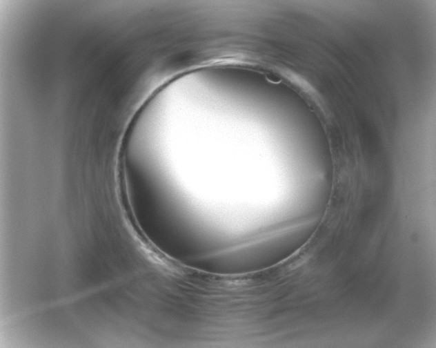 X0000066101423200603171345