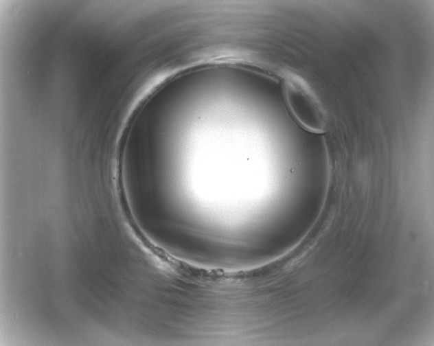 X0000066101424200603171345