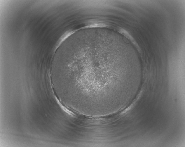 X0000066101425200603171345