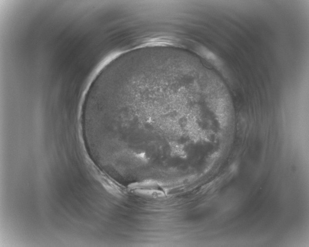 X0000066101427200603171345