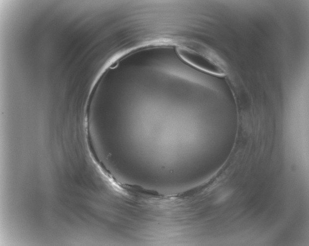 X0000066101428200603171345