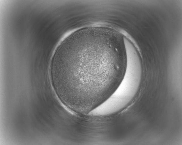 X0000066101429200603171345