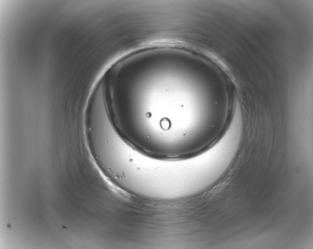 X0000066101430200603171345