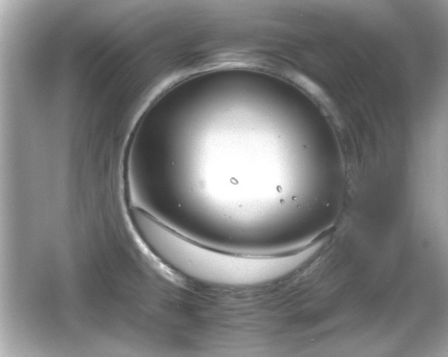 X0000066101431200603171345