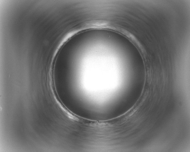 X0000066101432200603171345