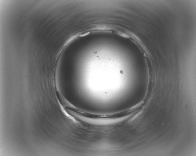 X0000066101433200603171345