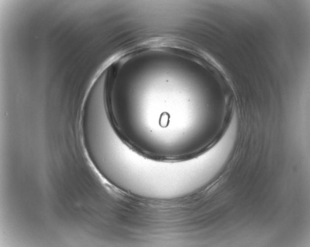 X0000066101434200603171345