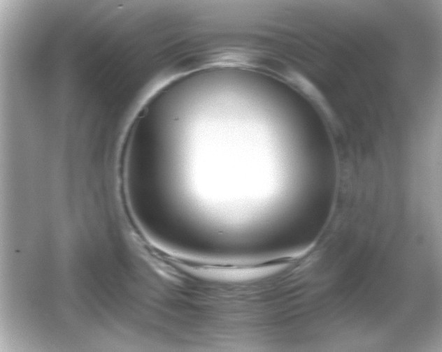 X0000066101435200603171345