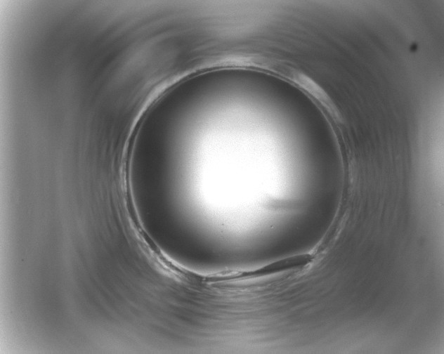 X0000066101436200603171345