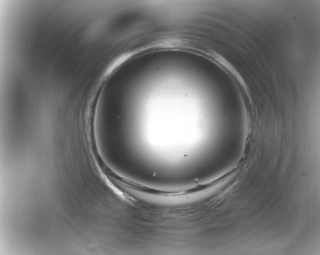 X0000066101437200603171345