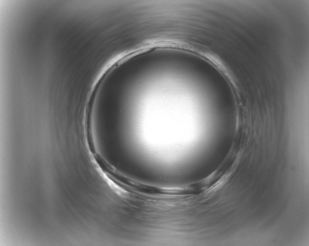 X0000066101438200603171345