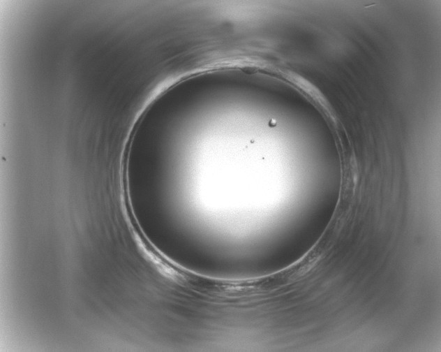 X0000066101439200603171345