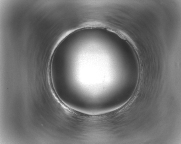 X0000066101440200603171345