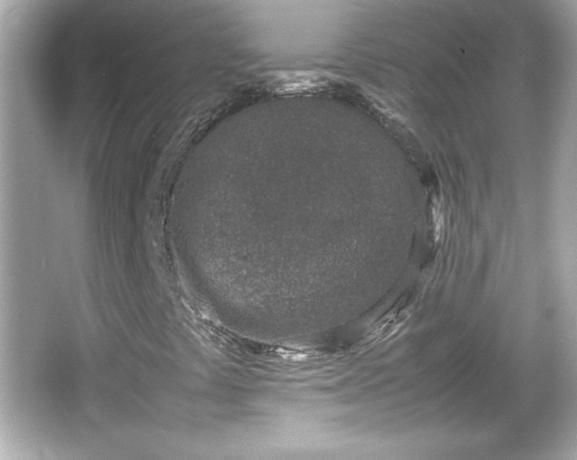 X0000066101441200603171344