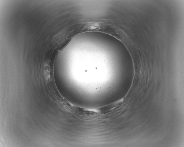 X0000066101442200603171344