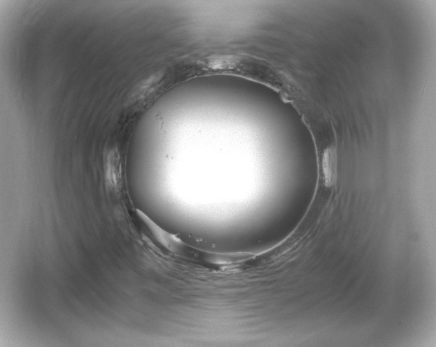 X0000066101443200603171344