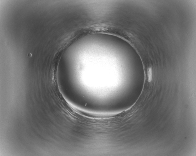 X0000066101444200603171344