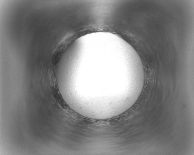 X0000066101446200603171344