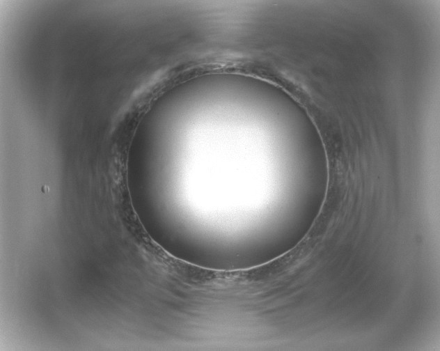 X0000066101447200603171344