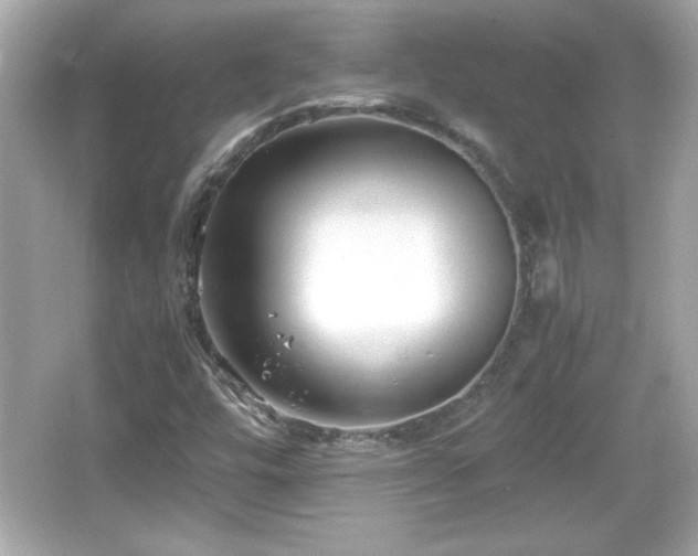 X0000066101448200603171344