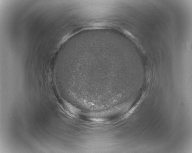 X0000066101449200603171344