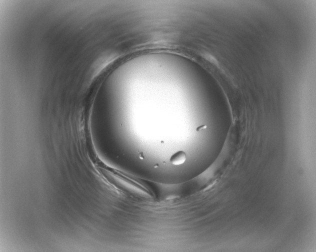 X0000066101450200603171344