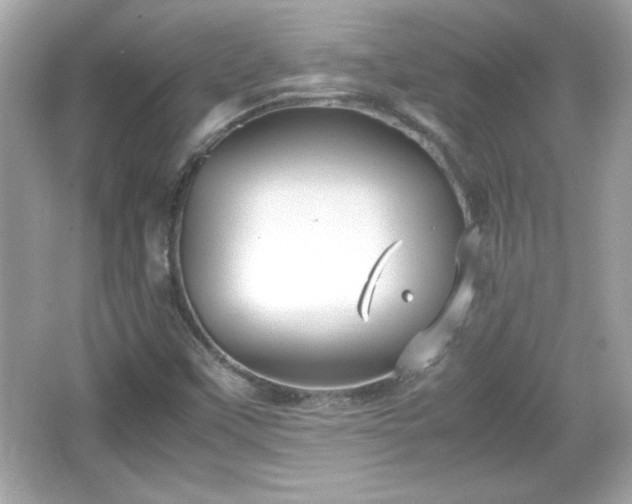 X0000066101451200603171344