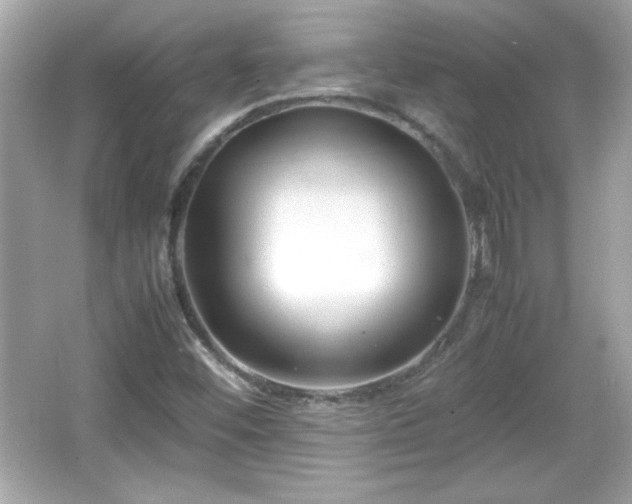 X0000066101452200603171344