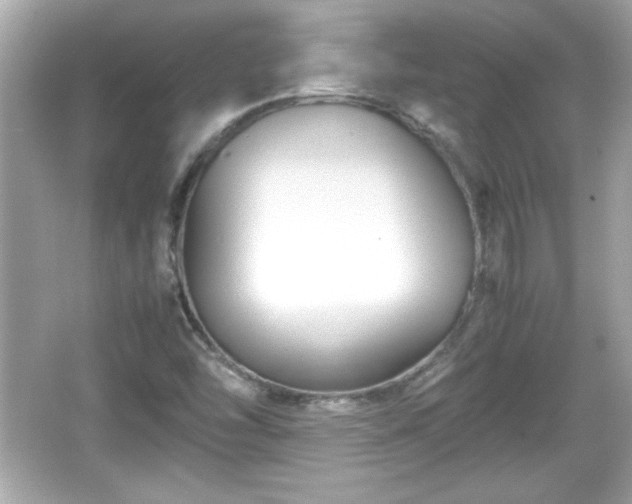 X0000066101454200603171344