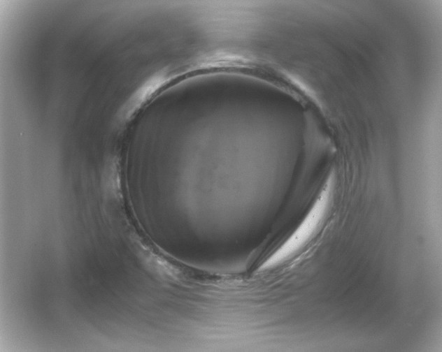 X0000066101455200603171344