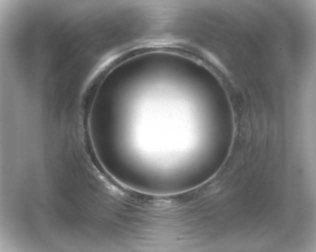 X0000066101456200603171344